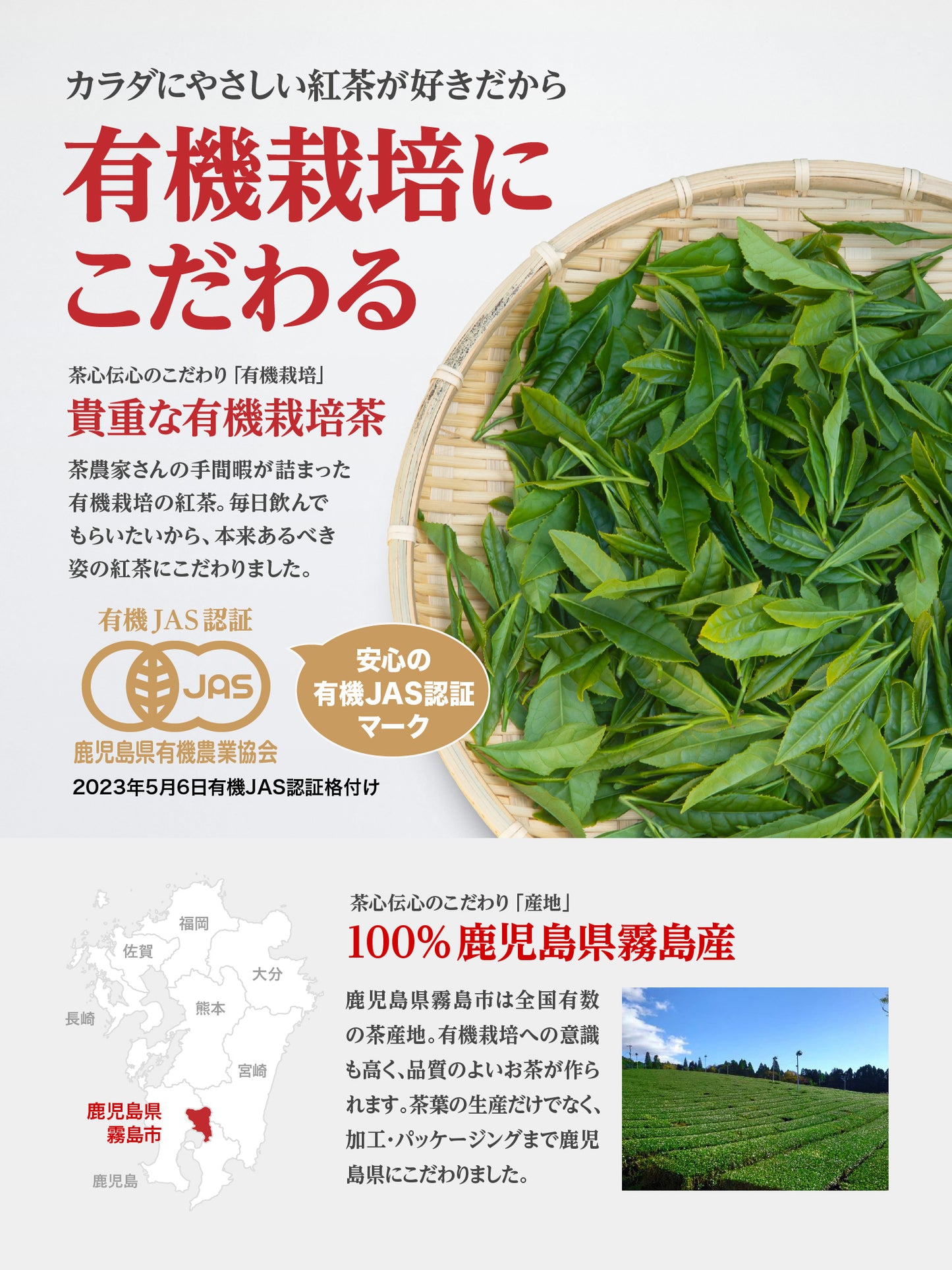 Organic Japanese black tea 100g