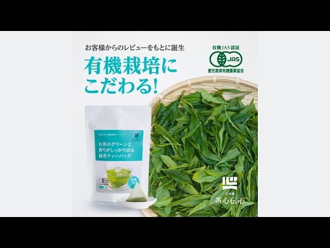 有機緑茶ティーバッグ（水出し・抹茶入り）6g×25袋 – 茶心伝心